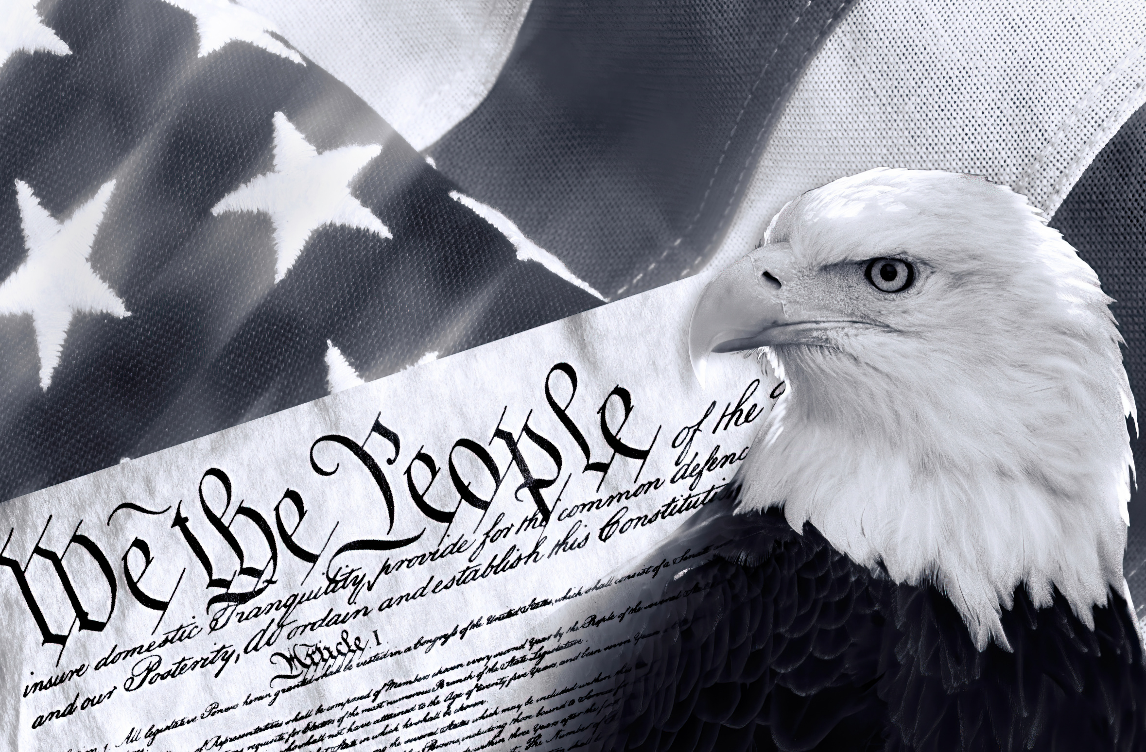 Flawed but Free: Why America Still Stands Apart Image