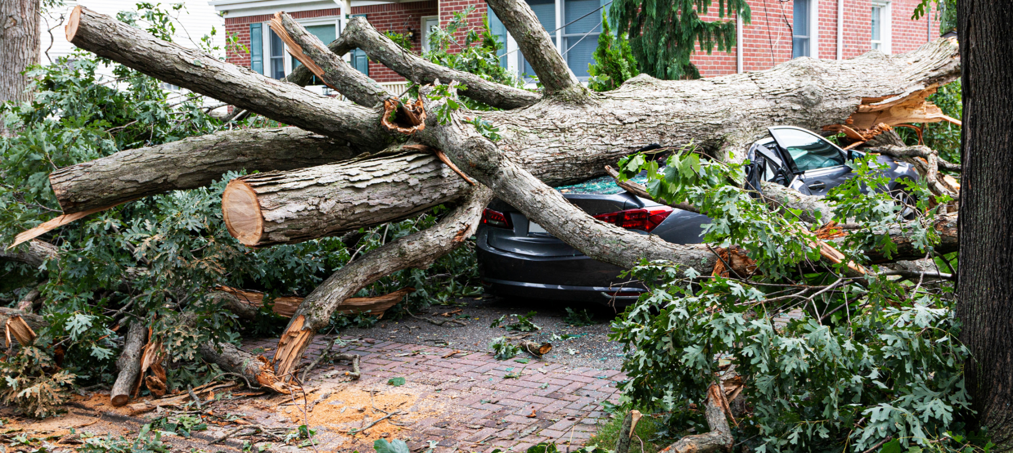 Tornado, Blizzard Spark Bipartisan Weather Relief Plan in Upstate New York