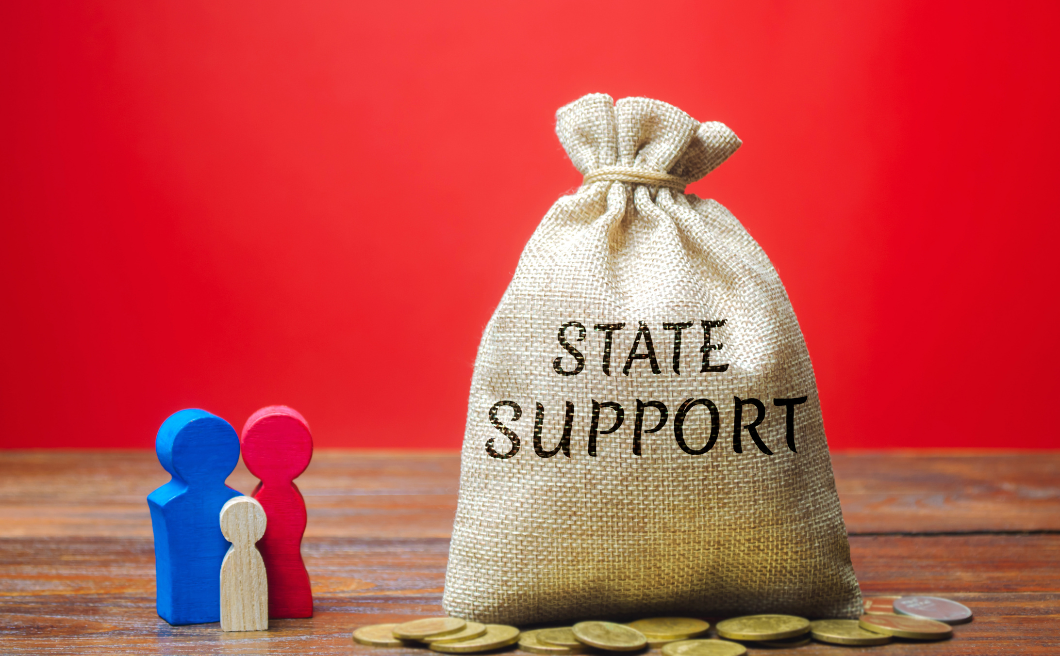 New Poll: Most Voters Say Stopping Government Benefits for Illegal Immigrants Is a Top Priority Image