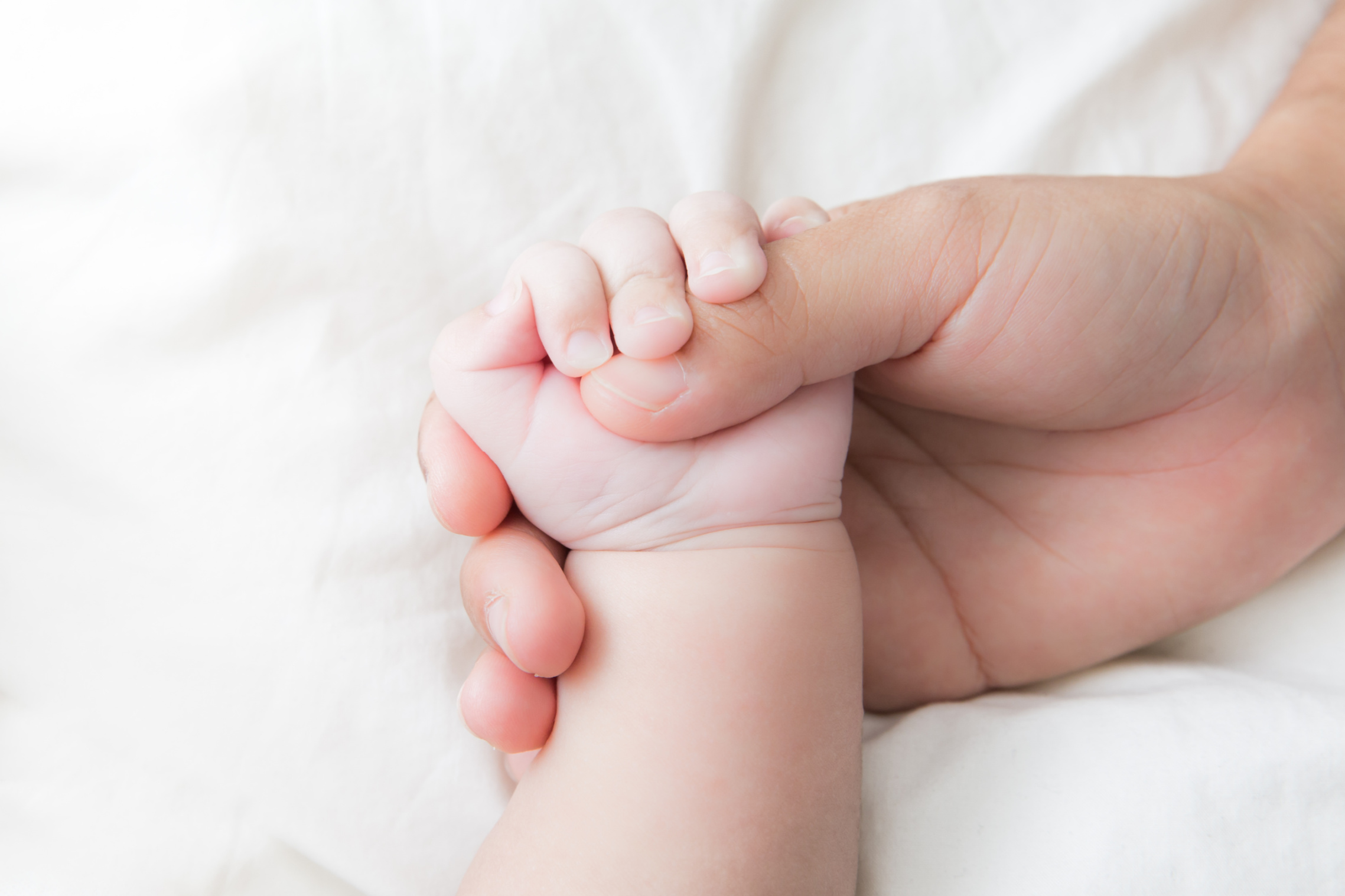 Who Shapes the Next Generation: Parents or the Progressive State? Image