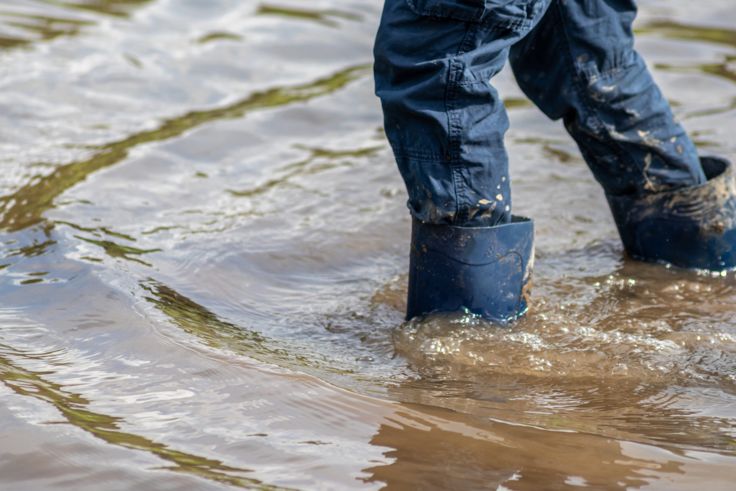 Lives Lost, Towns Flooded: Gila County Pleads for State Support Image