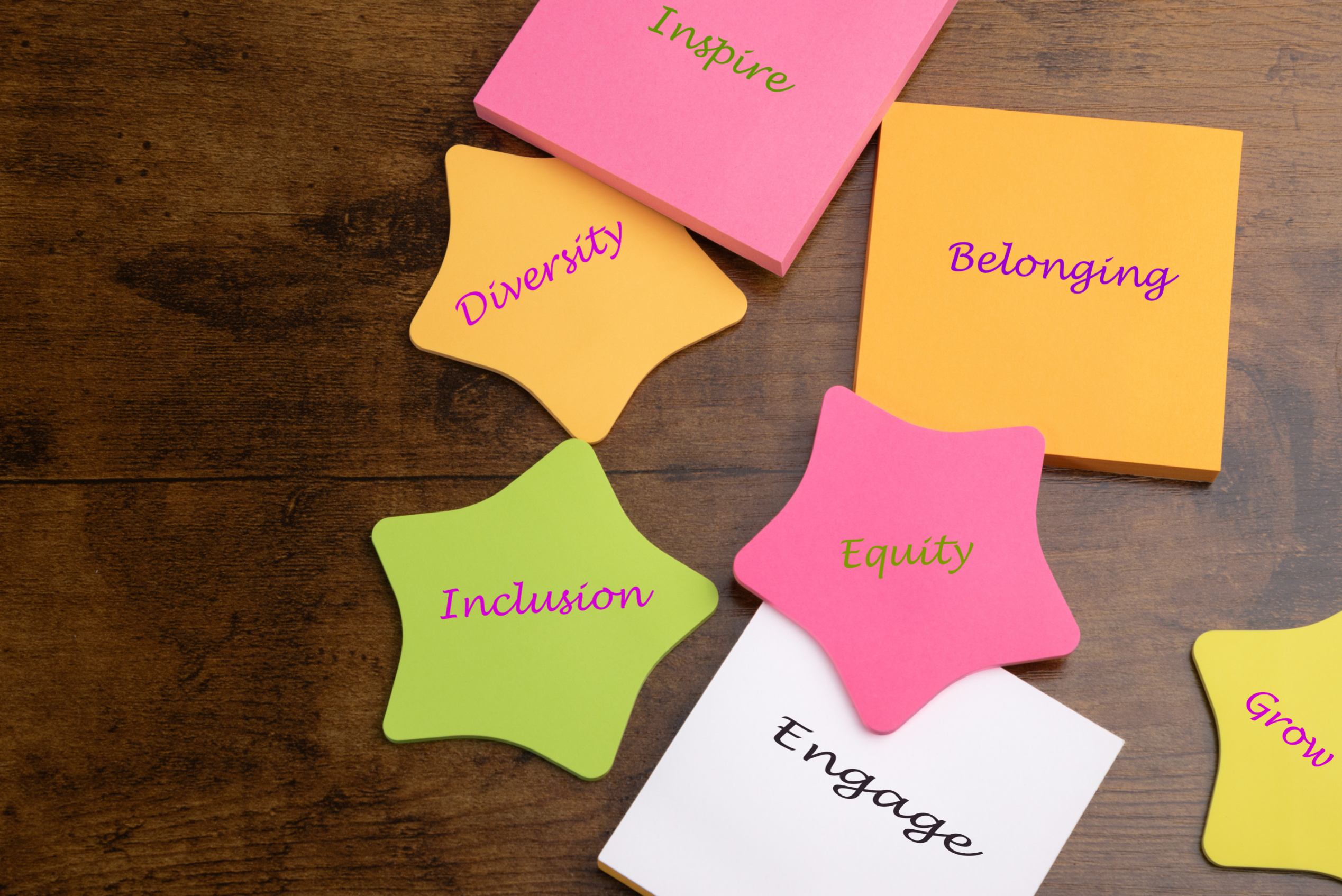 Remember This: DEI and the Problem with Equity Image